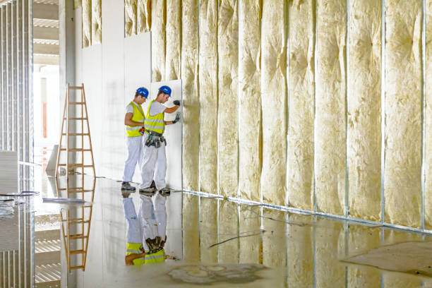 Best Commercial Insulation in Rossville, MD